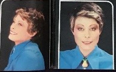 Blouse Finds 10493-blouse-finds.jpg