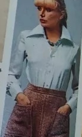 70s Blouses 10950-70s-blouses.jpg