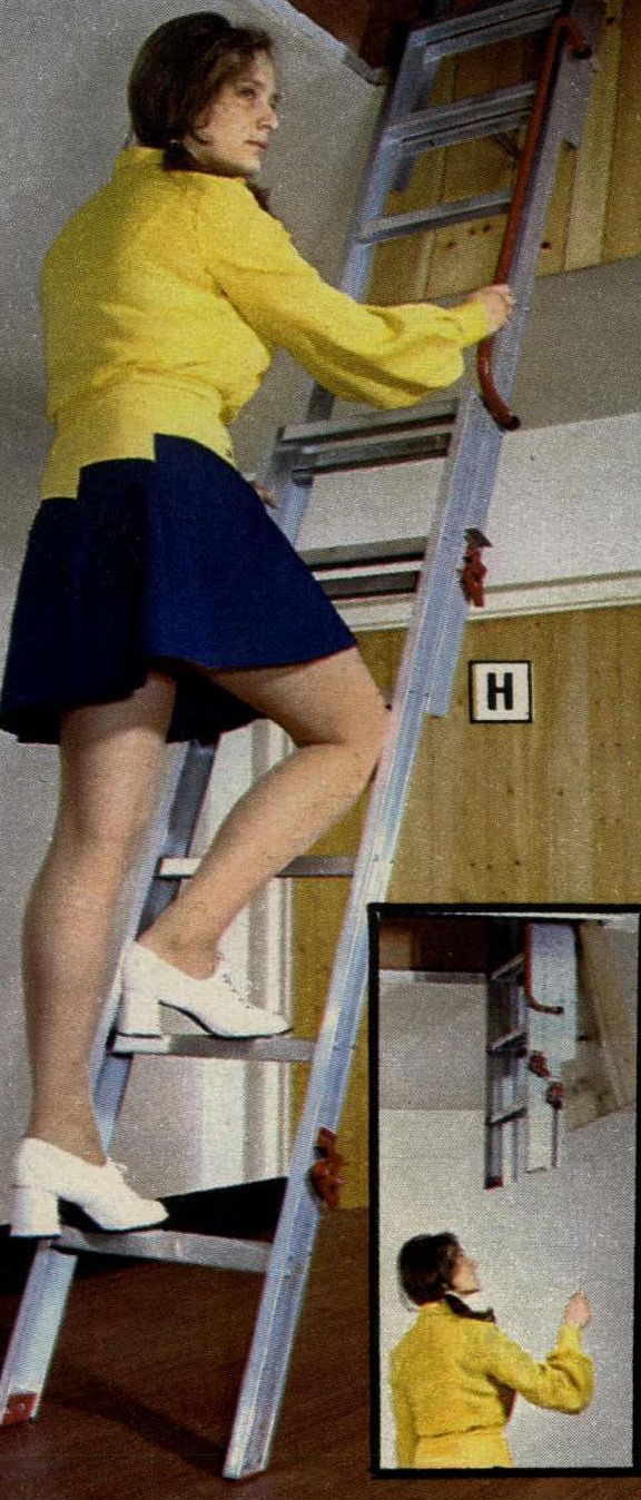 Catalogue Girls 6687-catalogue-girls.jpg