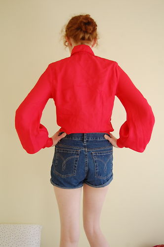 70s Blouses 9775-70s-blouses.jpg